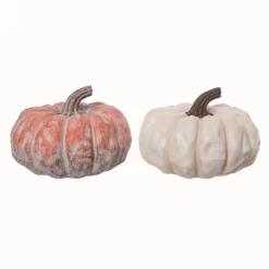 Transpac Resin Short Pastel Pumpkin Decor Set Of 2 Fall Harvest Home Decorations For Autumn Thanksgiving