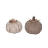 Transpac Plush Harvest Pumpkin Decor Set Of 2 Fall Home Decorations For Autumn Thanksgiving Polyester Decorative Objects