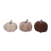 Transpac Neutral Plush Pumpkin Set Of 3 Fall Harvest Home Decorations For Autumn Thanksgiving Cotton Decor